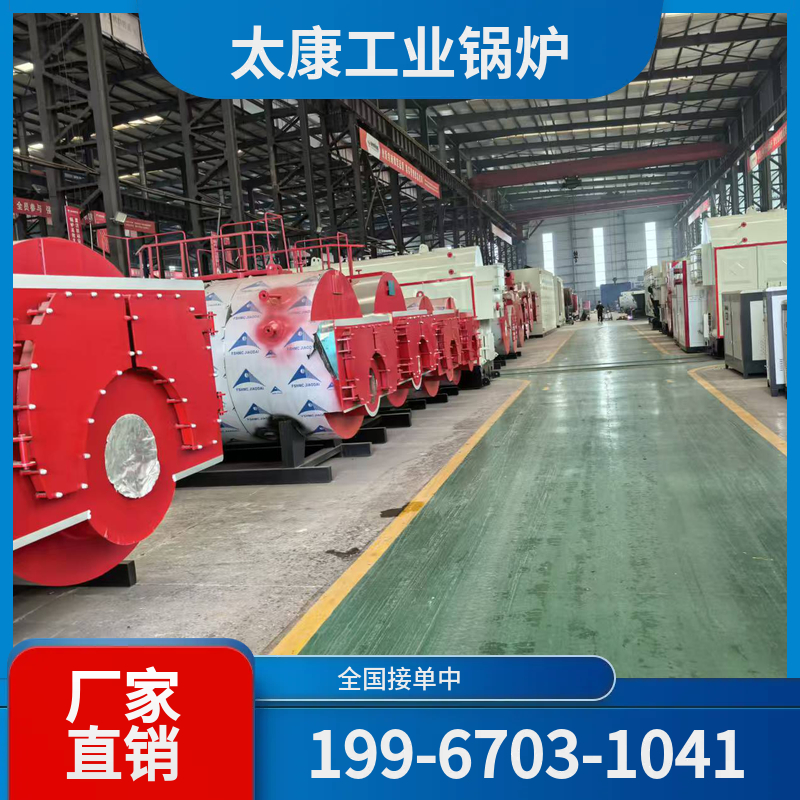 丽江燃煤导热油锅炉